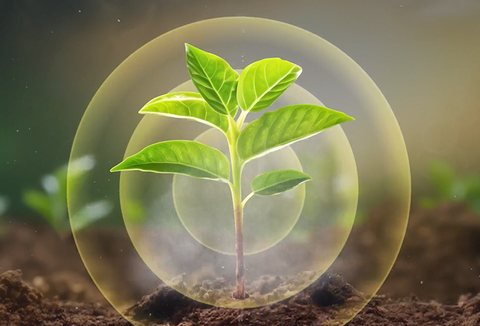 Stingray K llega a Chile con una fórmula exclusiva y 100% natural