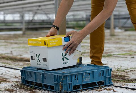 Colocación óptima de las colmenas de abejorros