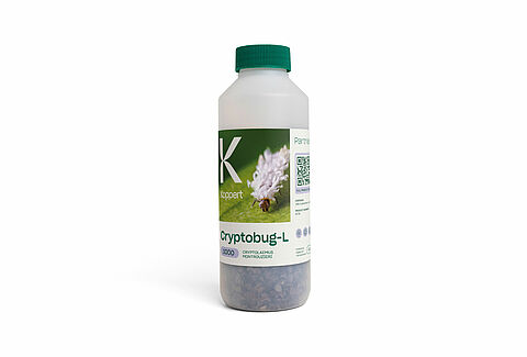 Cryptobug-L