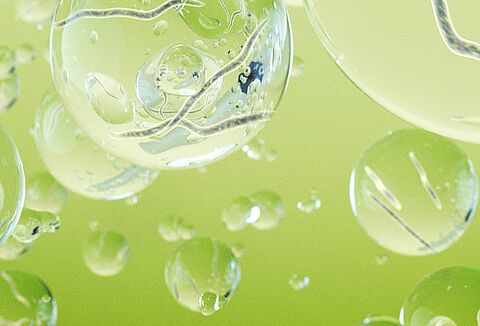 Nematodos beneficiosos para el control de plagas en cultivos al aire libre