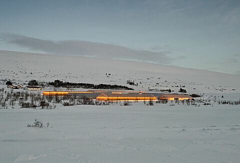 Consejos para la polinización de cultivos con iluminación artificial