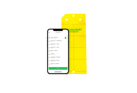 Monitoreo y seguimiento plagas